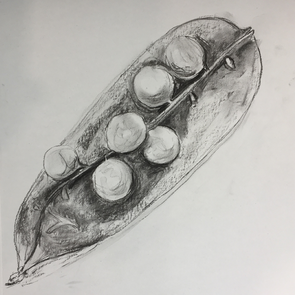 (Un)Still-Life Drawing: Objects & Occasional Figure